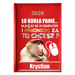 KALENDARZ KSIĄŻKOWY A5 dzienny 2026 ROK TERMINARZ NOTATNIK GRAFIK KOMPUTER