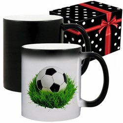 KUBEK SPORTOWY NAGRODA DLA PIŁKARZA PIŁKA NOŻNA PIŁKA TURNIEJ PIŁKI PIŁKARZ