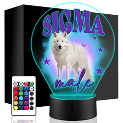 LAMPKA NOCNA LED SIGMA MALE BOY SKIBIDI RIZZLER CHŁOPAK 3D + PILOT prezent dziecka URODZINY